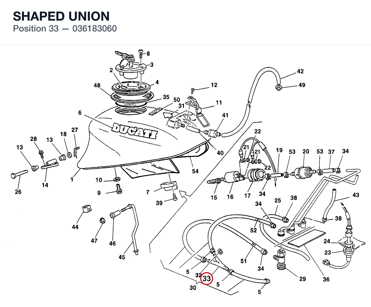 SHAPED UNION