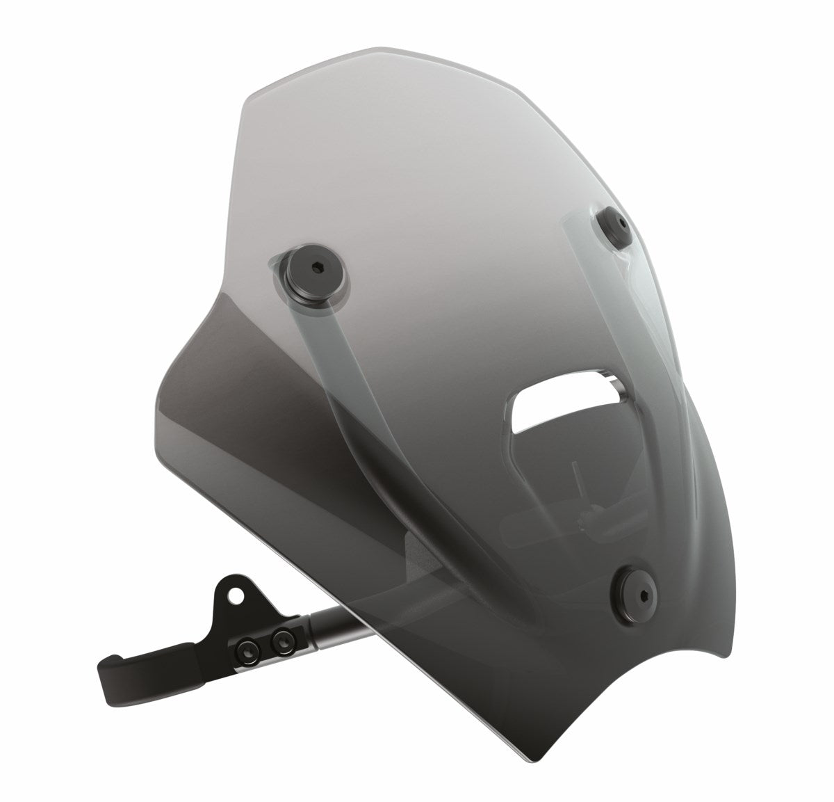 Smoke-tinted windscreen (MONSTER)