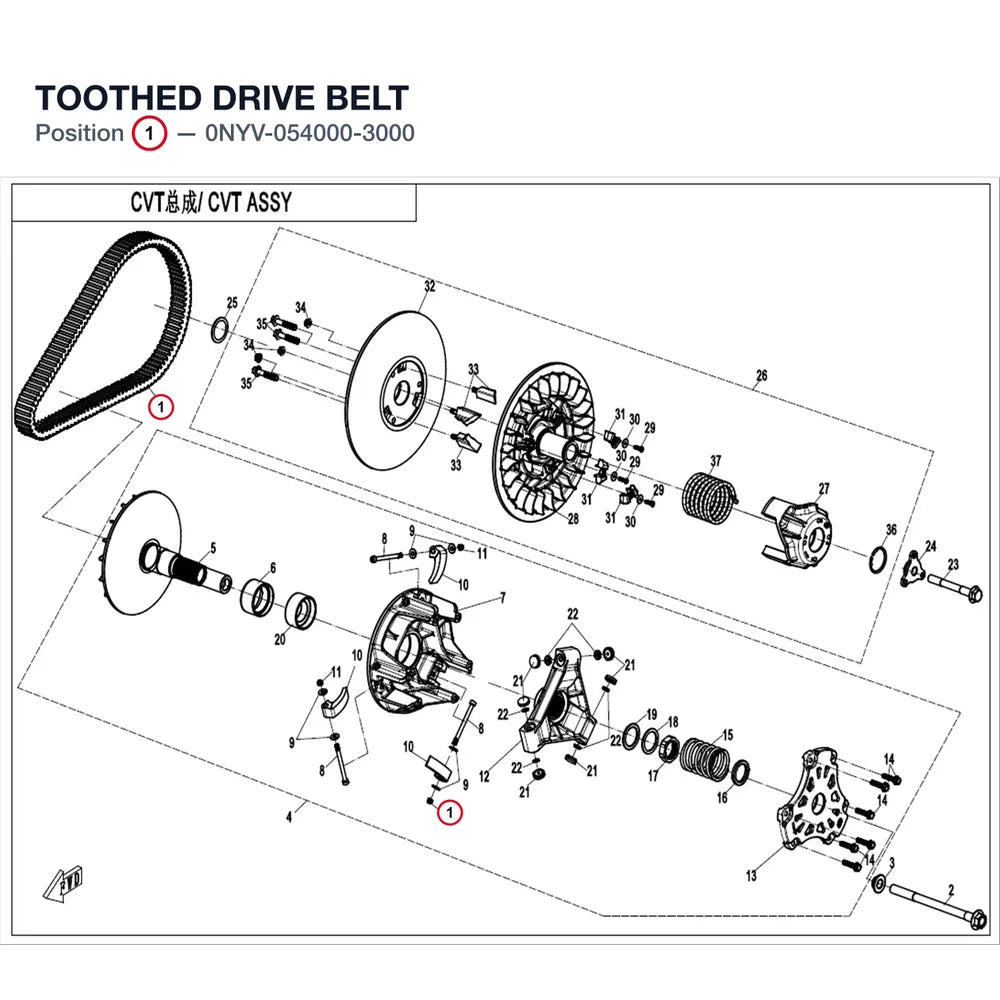 TOOTHED DRIVE BELT product image
