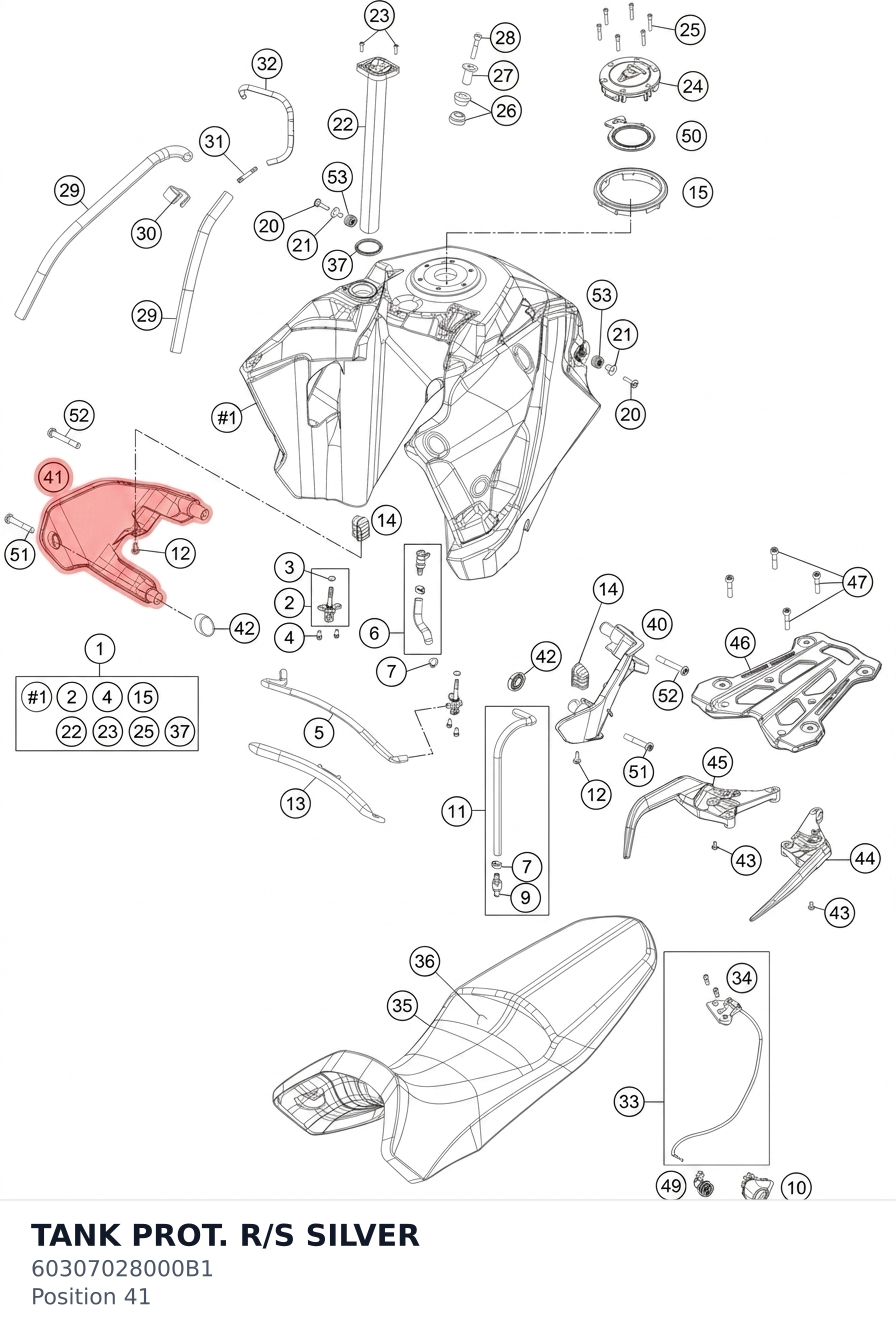Diagram preview: TANK PROT. R/S SILVER (60307028000B1)