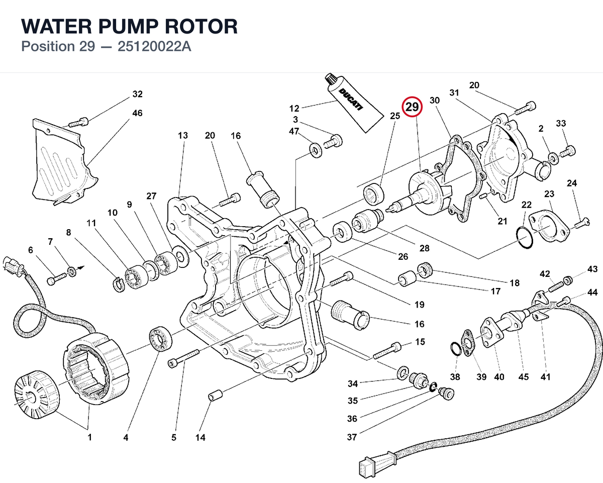 WATER PUMP ROTOR