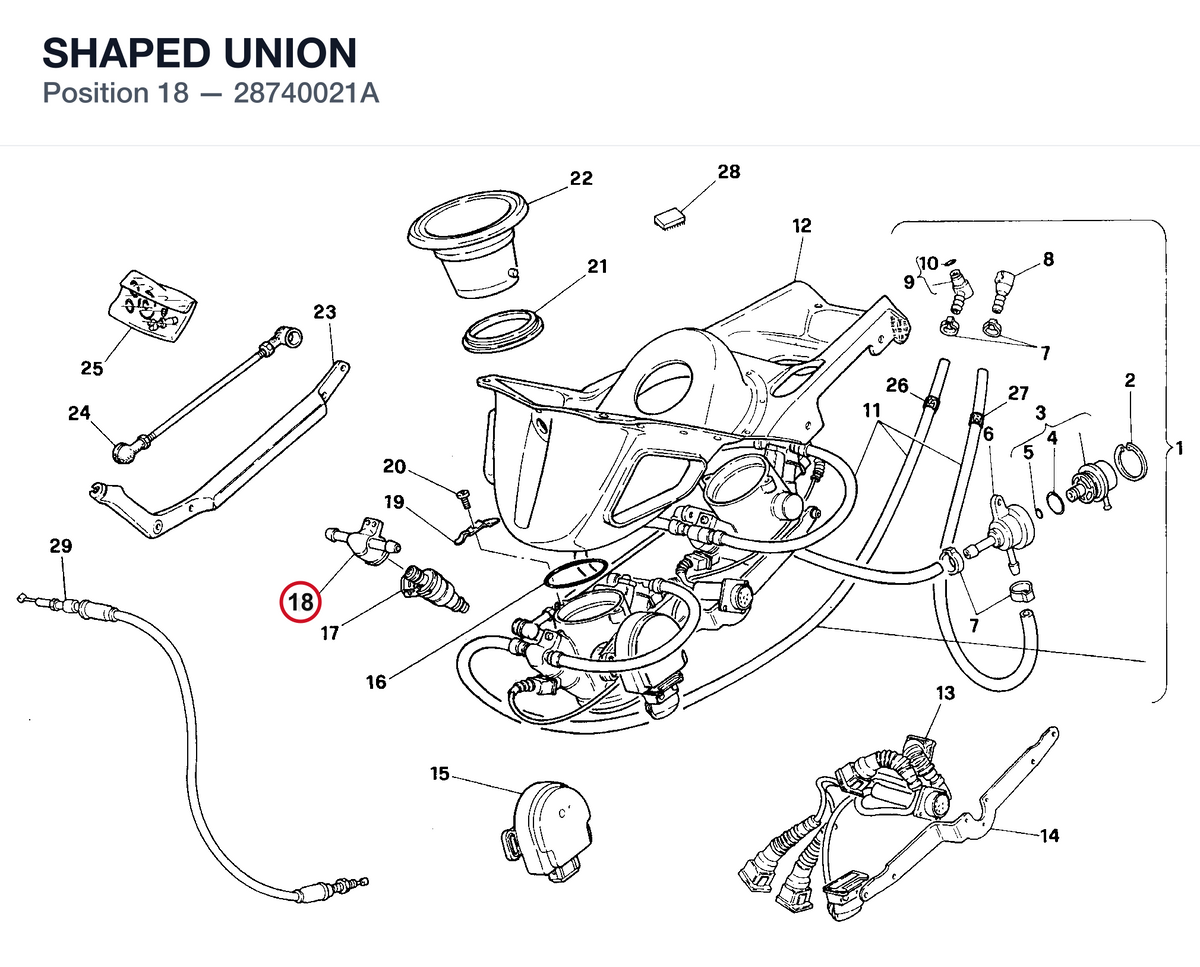 SHAPED UNION