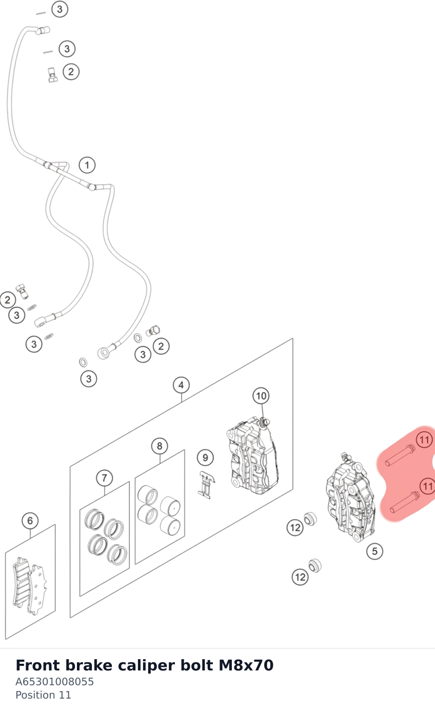 Diagram preview: Front brake caliper bolt M8x70 (A65301008055)