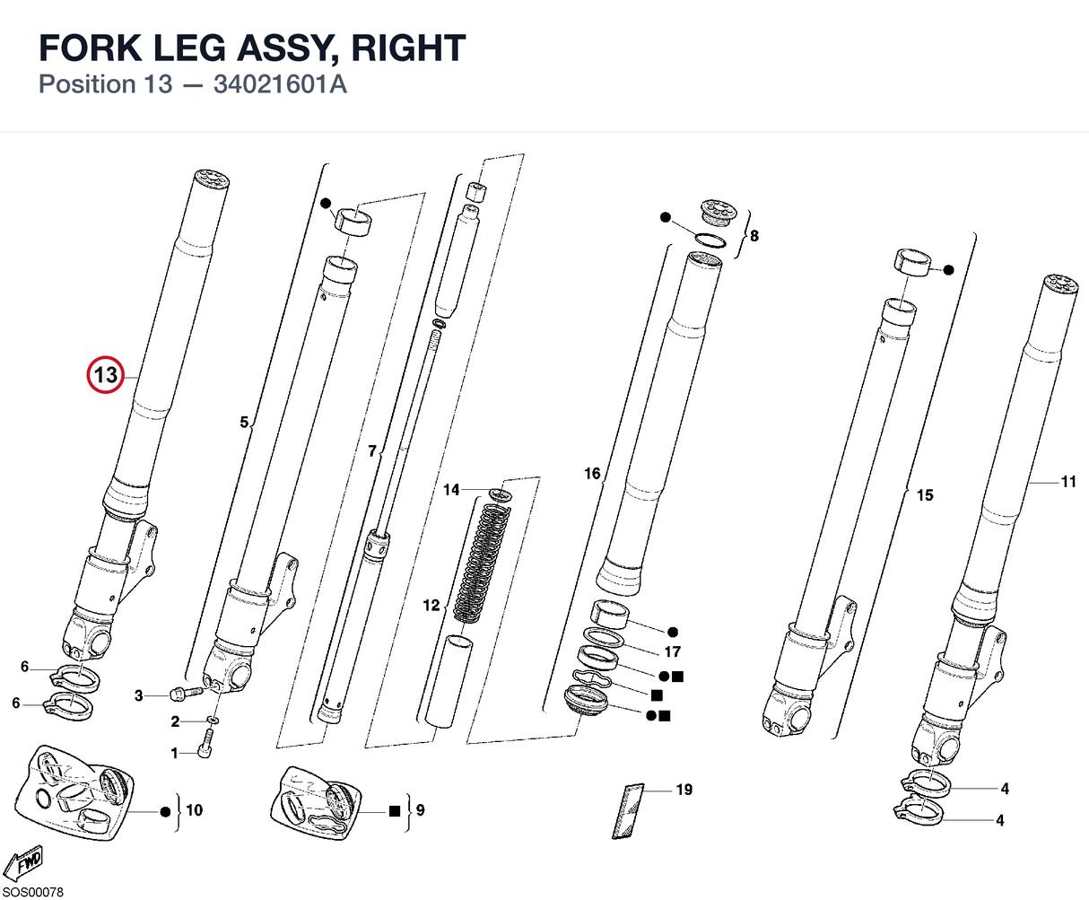 FORK LEG ASSY, RIGHT