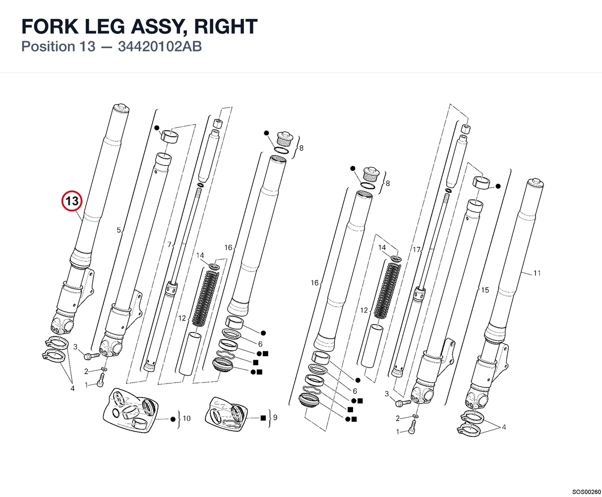 FORK LEG ASSY, RIGHT