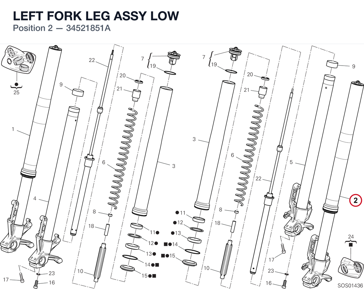 LEFT FORK LEG ASSY LOW