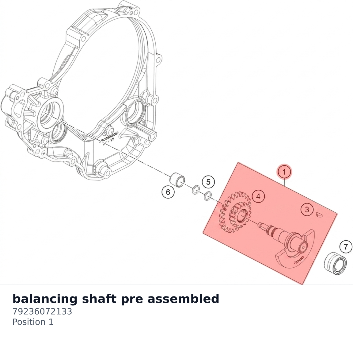 Diagram preview: balancing shaft pre assembled (79236072133)