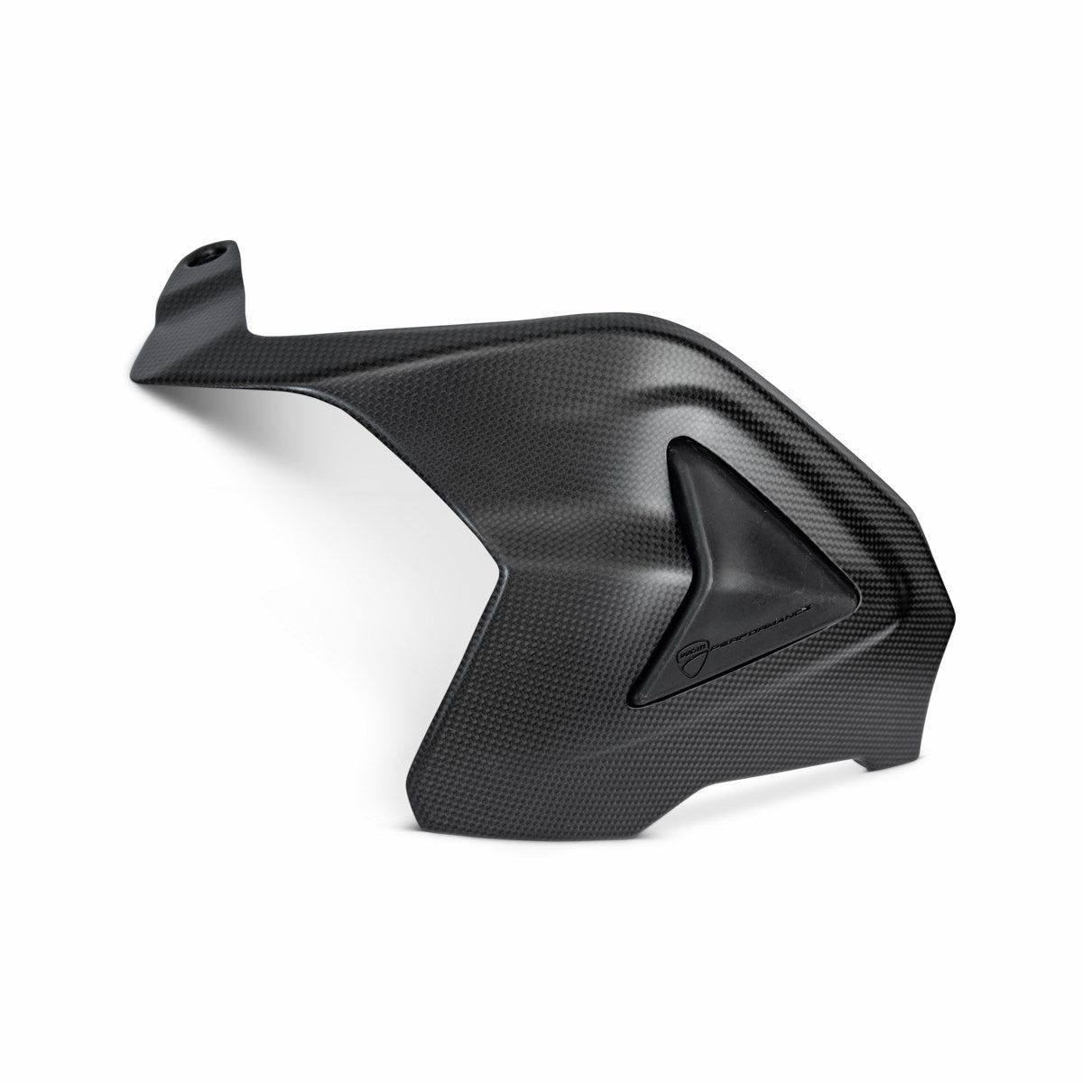 Carbon swingarm guard (STREETFIGHTER)
