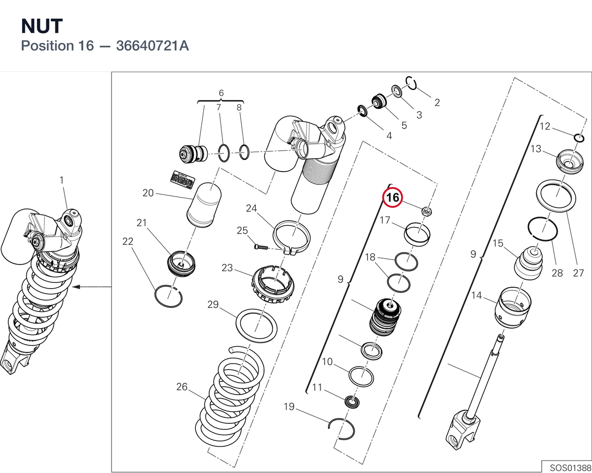 NUT 36640721A diagram position