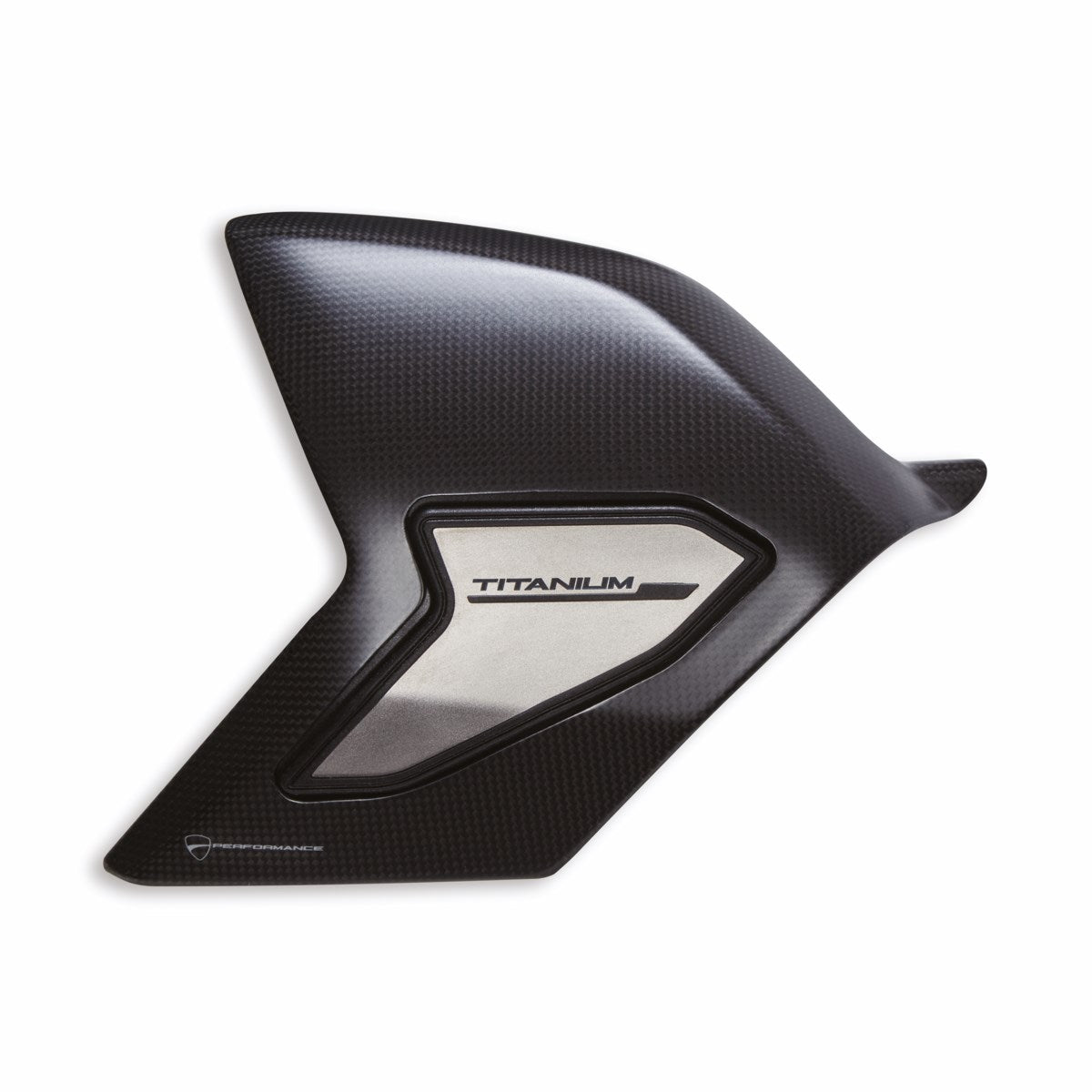 Carbon and titanium protection for swinging arm (SUPERBIKE)
