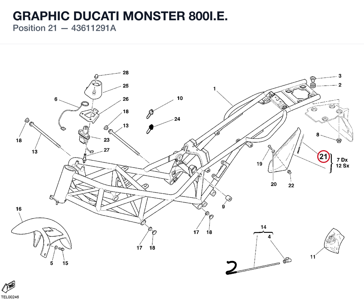 GRAPHIC DUCATI MONSTER 800I.E.