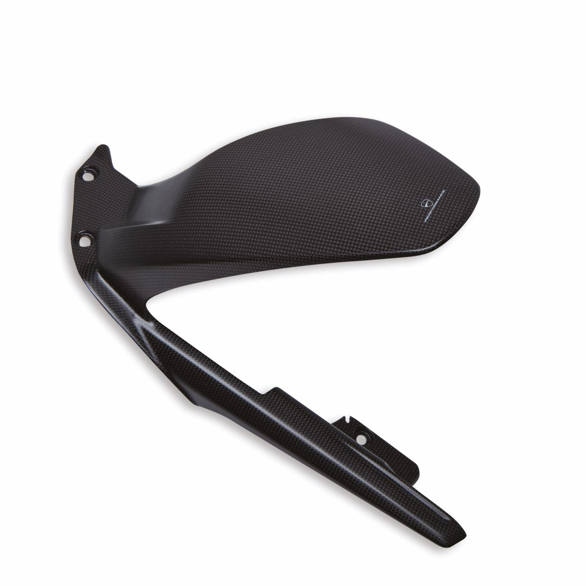 Carbon rear mudguard (Racing exhaust)
