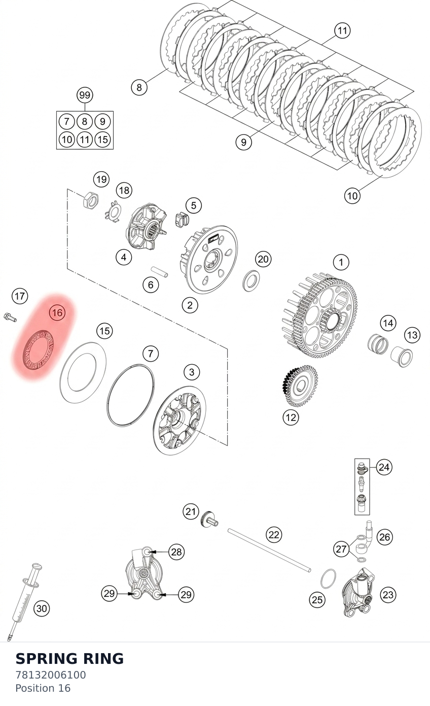 Diagram preview: SPRING RING (78132006100)