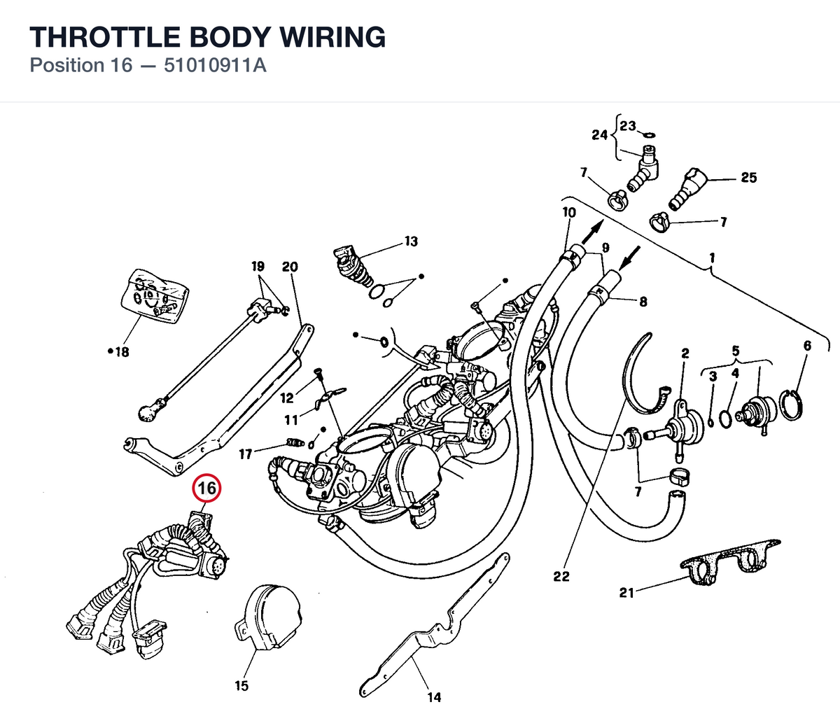 THROTTLE BODY WIRING