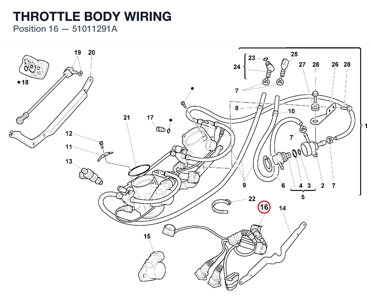 THROTTLE BODY WIRING