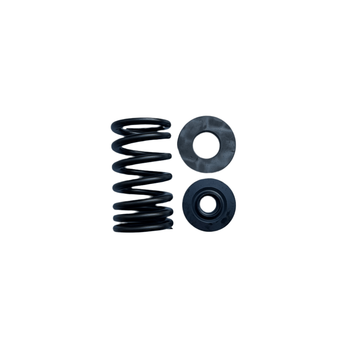 VALVE SPRING KIT 09