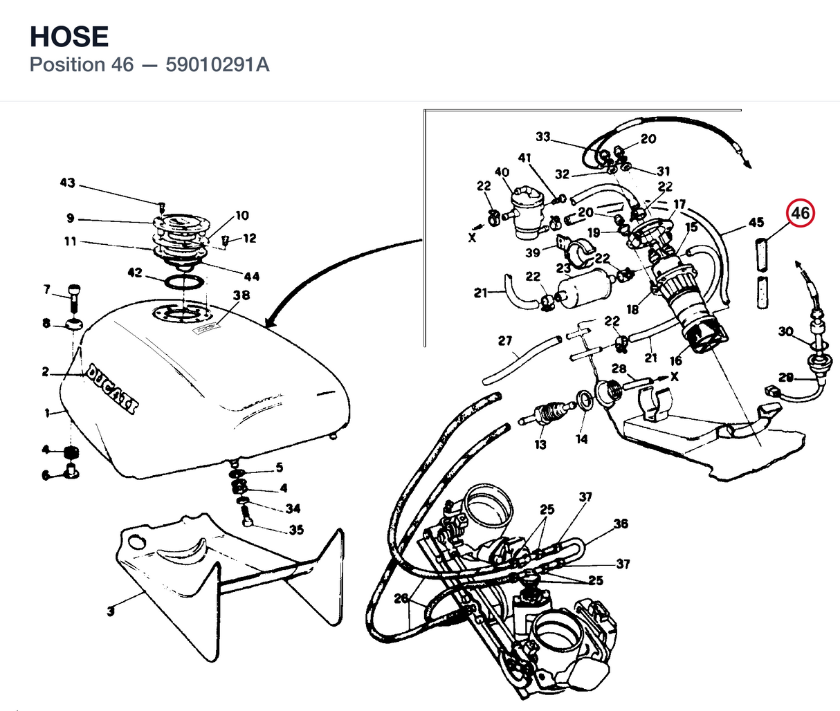 HOSE