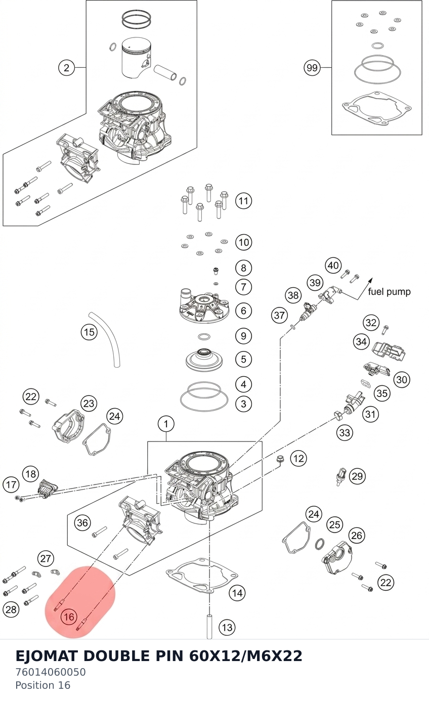 Diagram preview: EJOMAT DOUBLE PIN 60X12/M6X22 (76014060050)