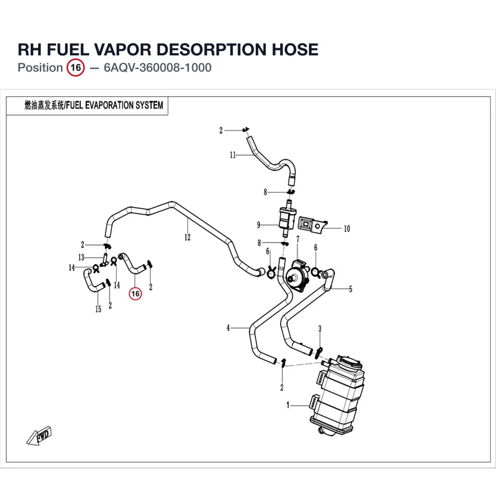 RH FUEL VAPOR DESORPTION HOSE product image