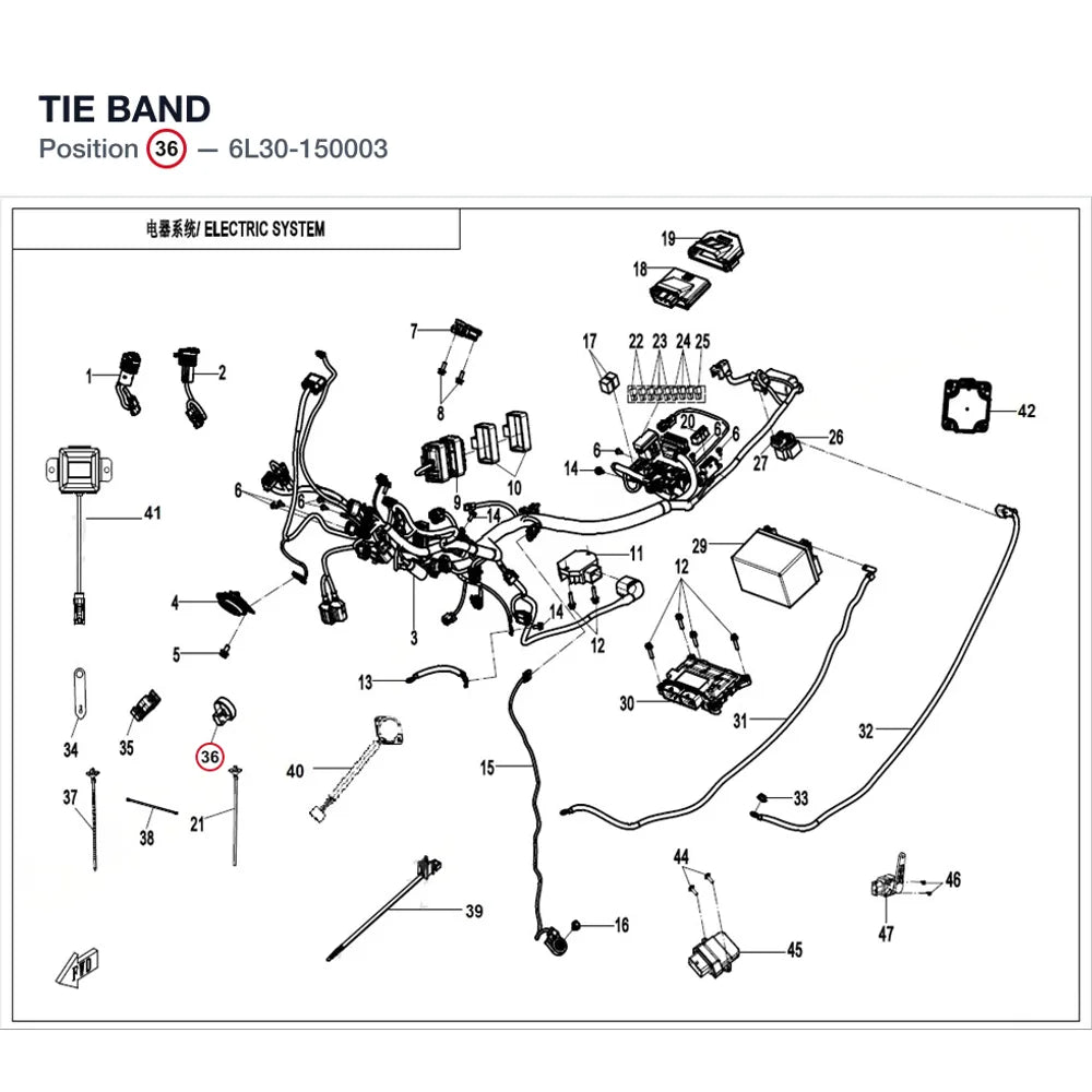 TIE BAND product image