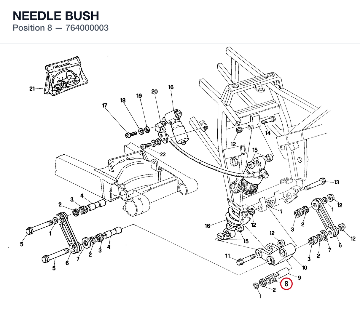 NEEDLE BUSH