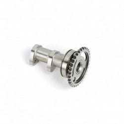 CAMSHAFT INTAKE 2009