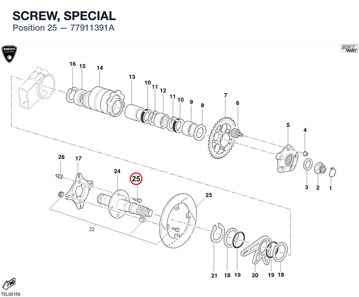 SCREW, SPECIAL