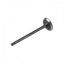 INTAKE VALVE