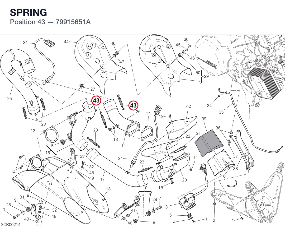 SPRING 79915651A diagram position