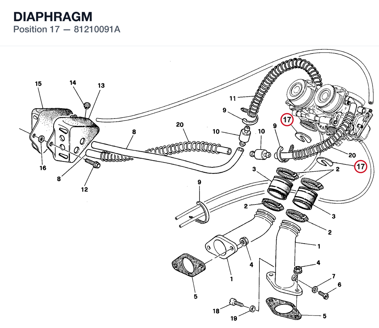 DIAPHRAGM