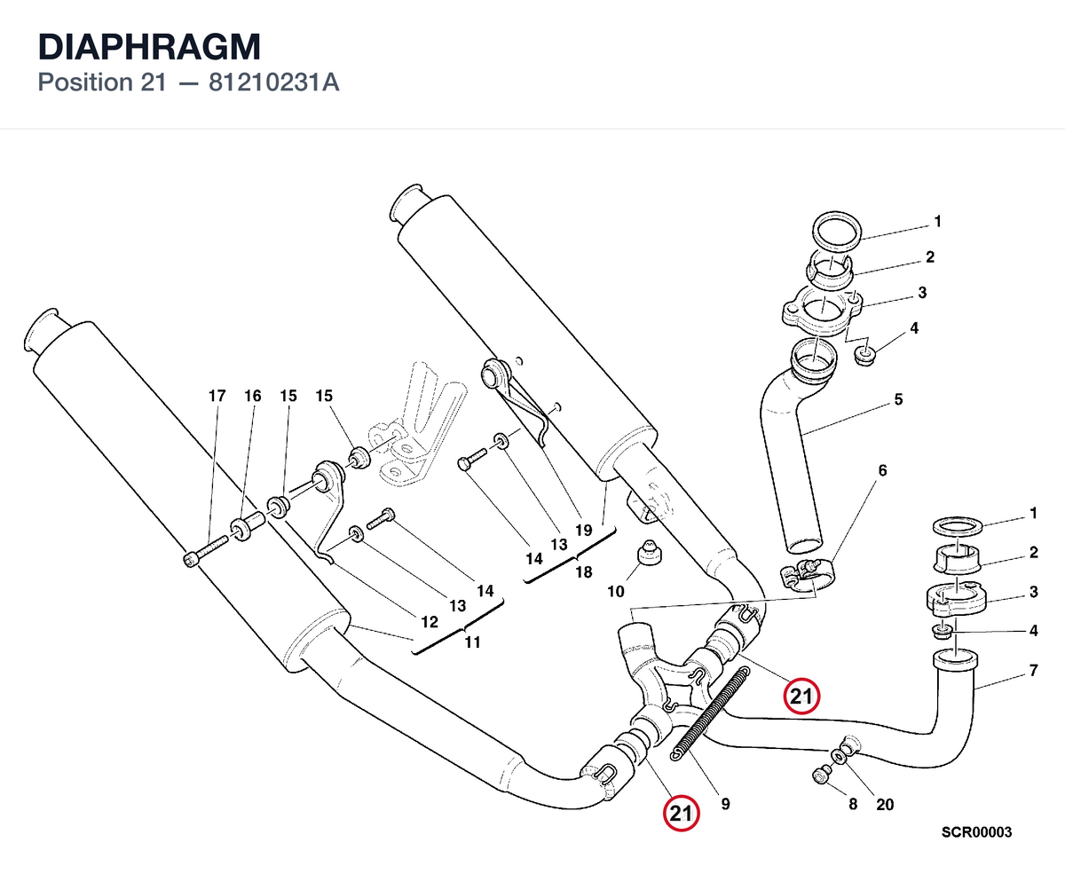 DIAPHRAGM