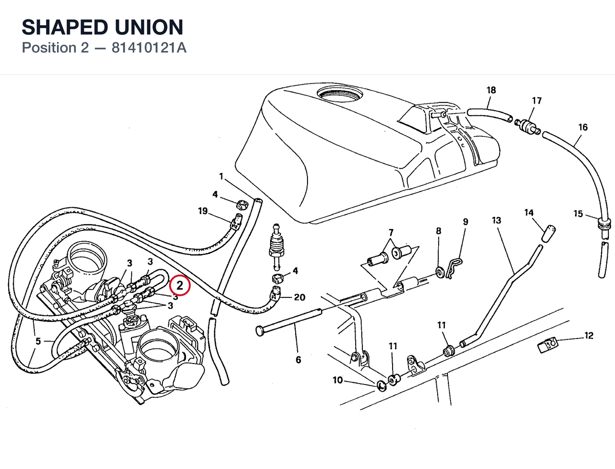 SHAPED UNION