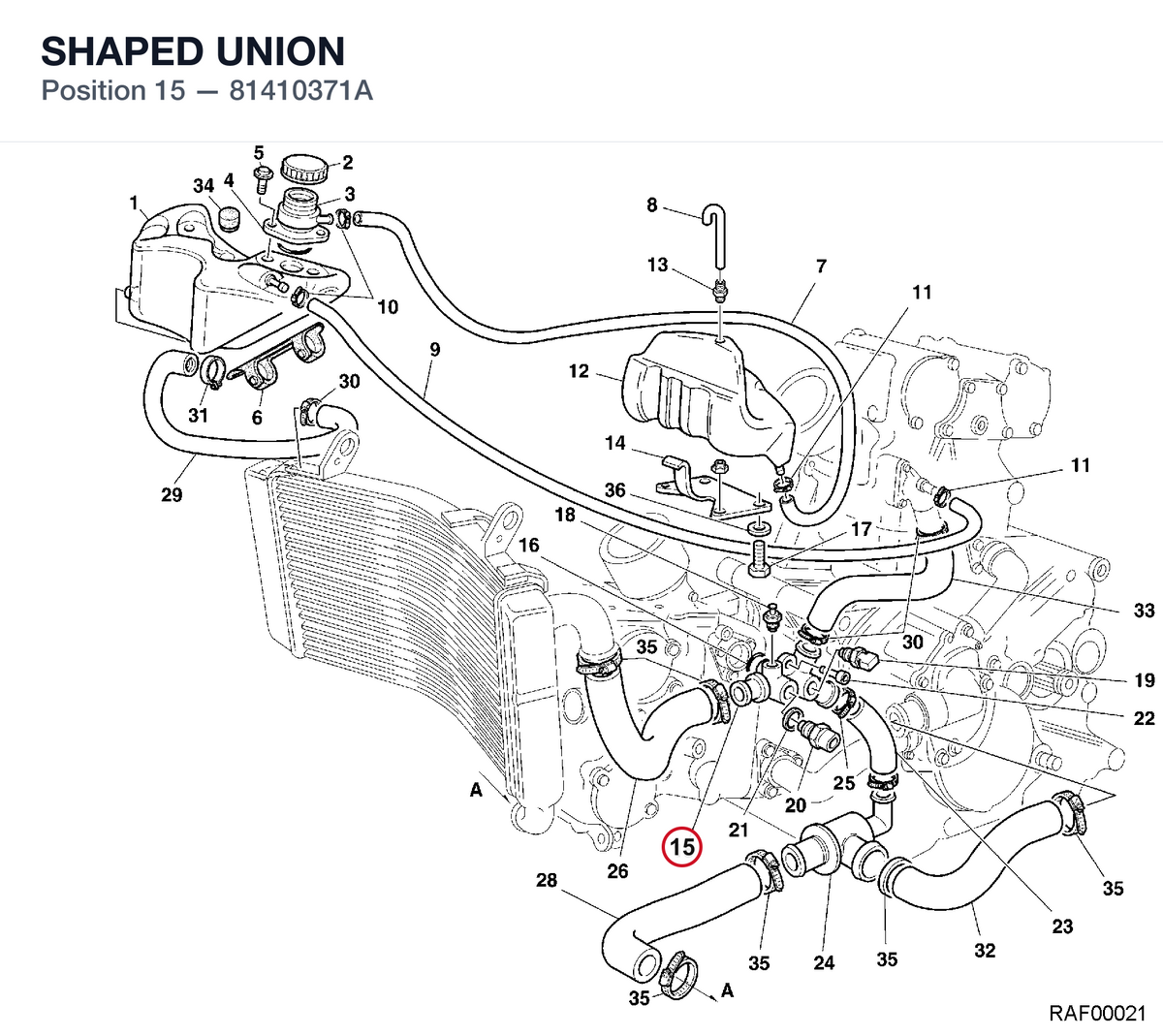 SHAPED UNION
