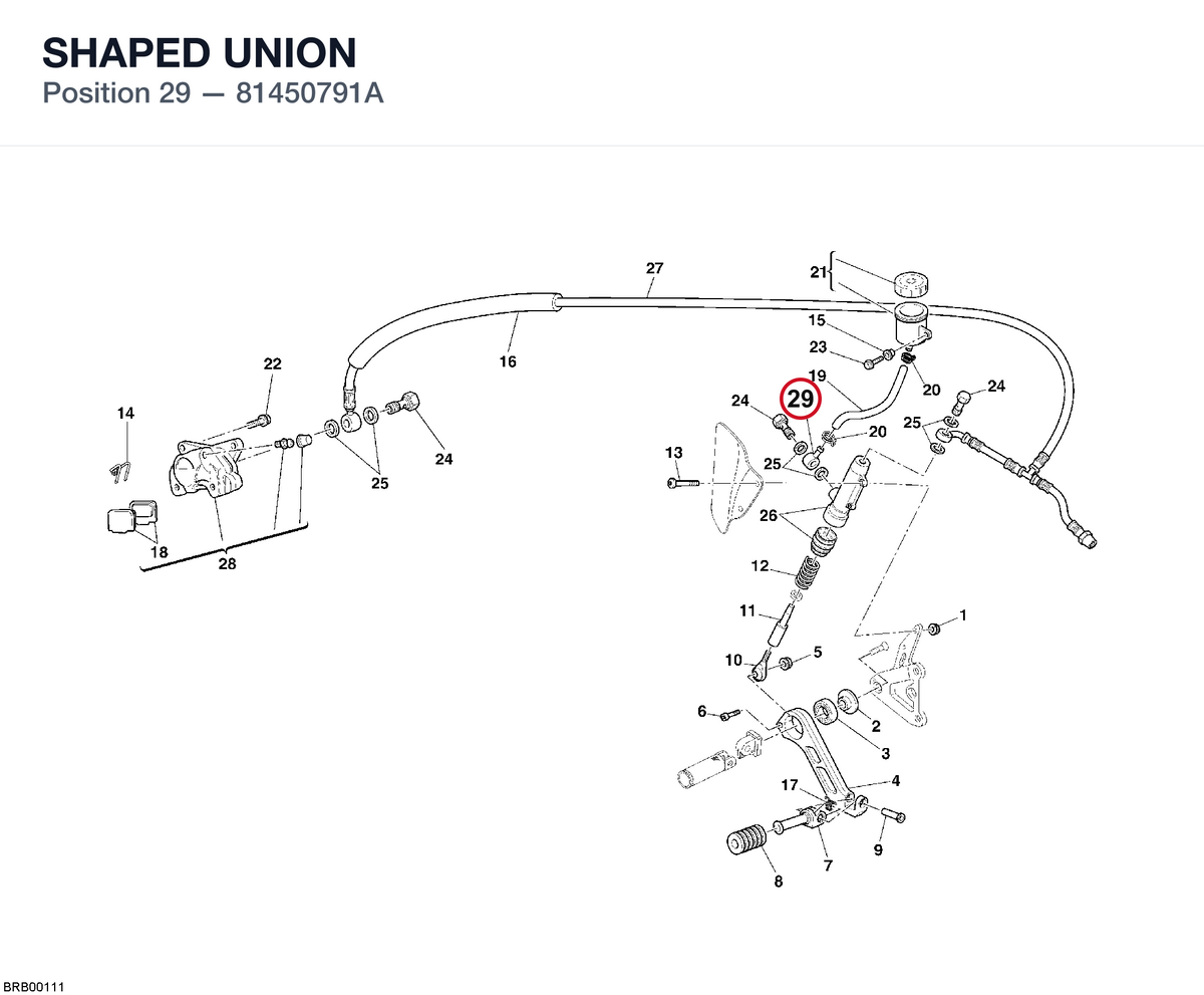 SHAPED UNION