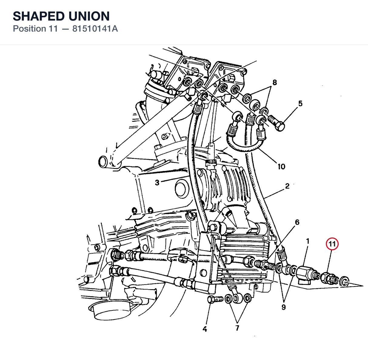 SHAPED UNION
