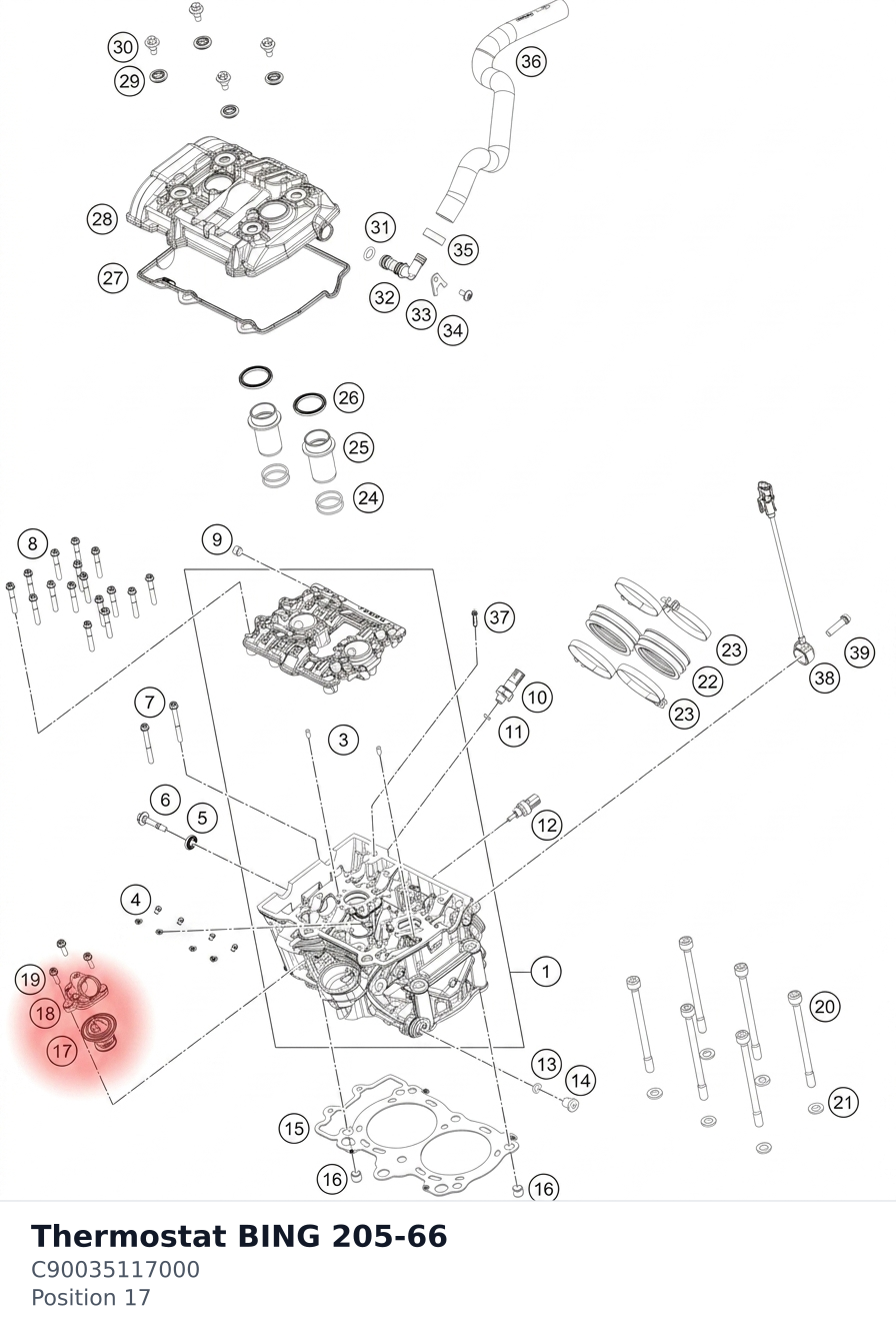 Diagram preview: Thermostat BING 205-66 (C90035117000)