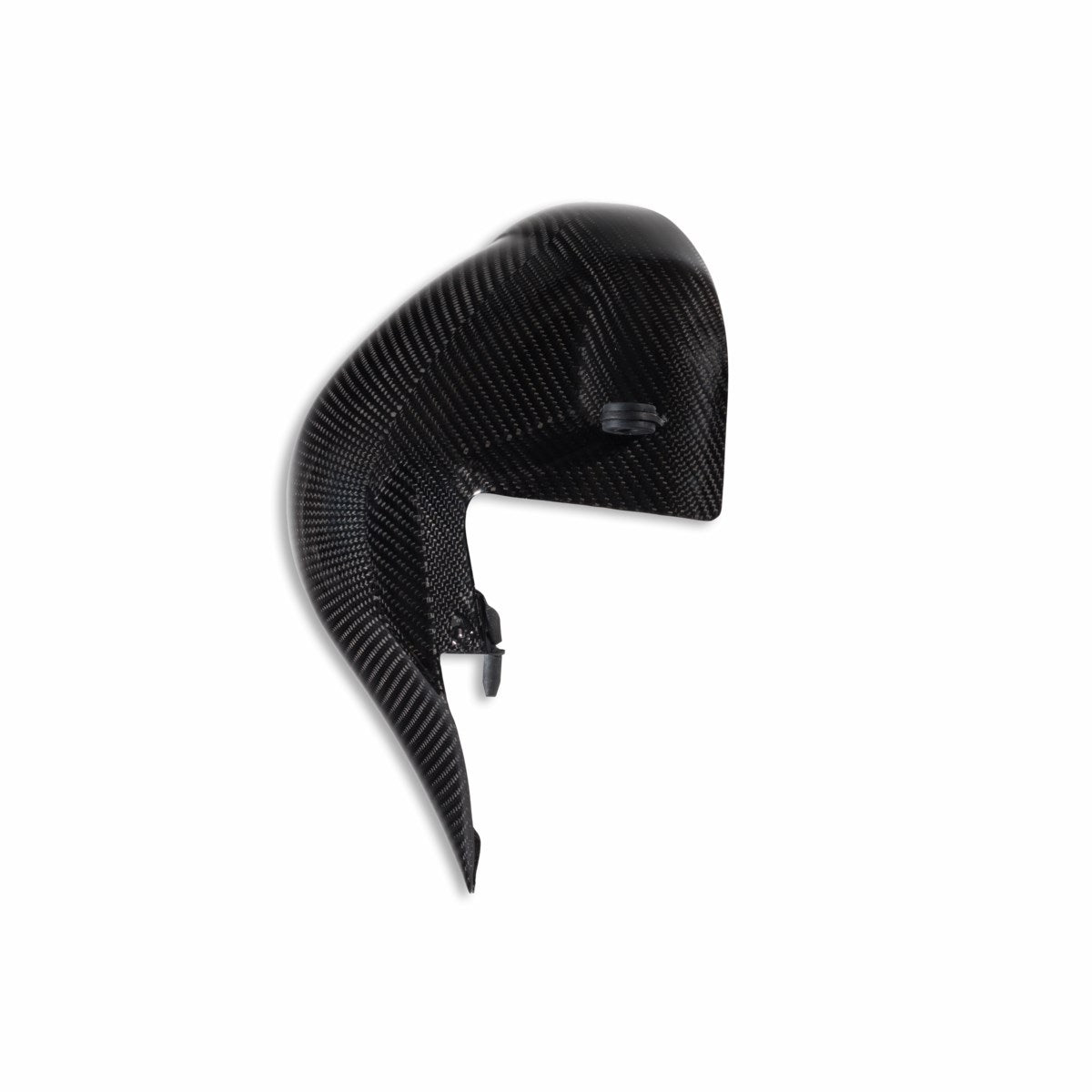 Carbon heat guard (SUPERBIKE)