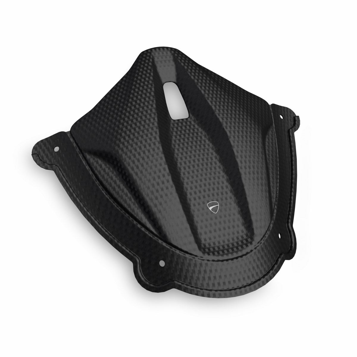 Carbon instrument panel cover (SUPERBIKE)