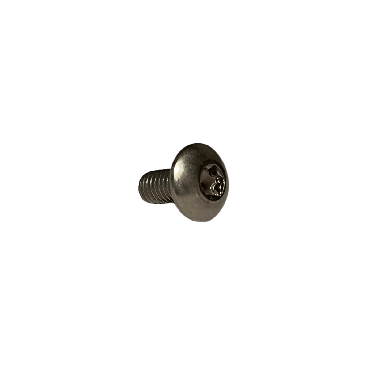 SCREW TORX M5X10 05