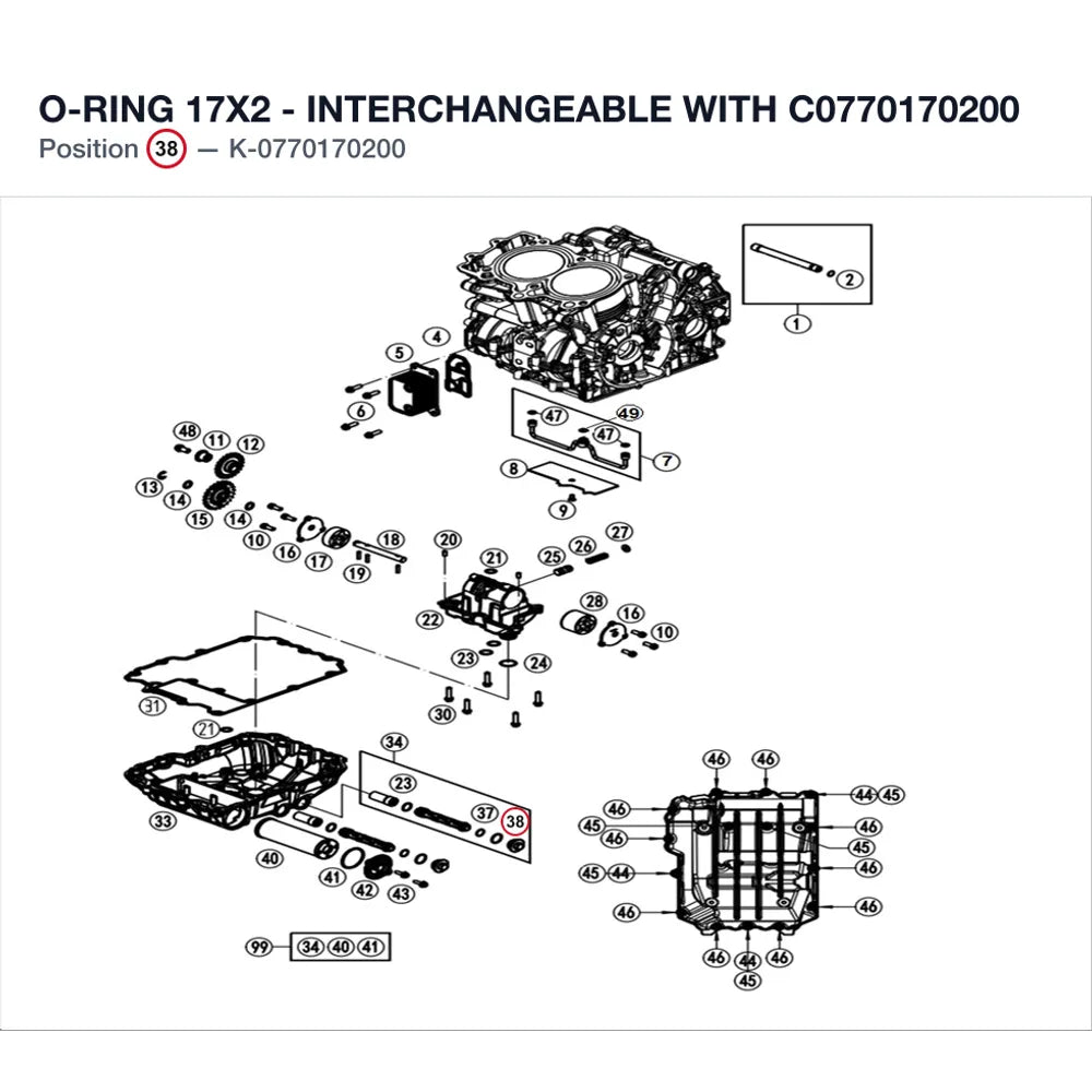 O-RING 17X2 - INTERCHANGEABLE WITH C0770170200 product image