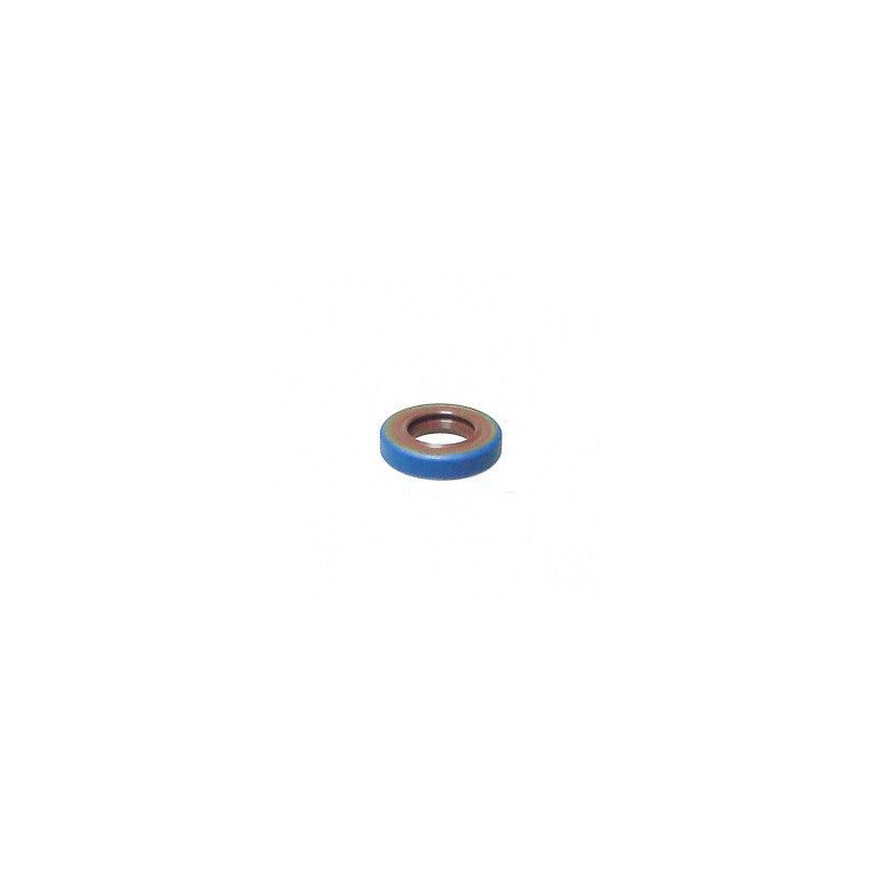 SHAFT SEAL RING 10X18X4 BSL V.