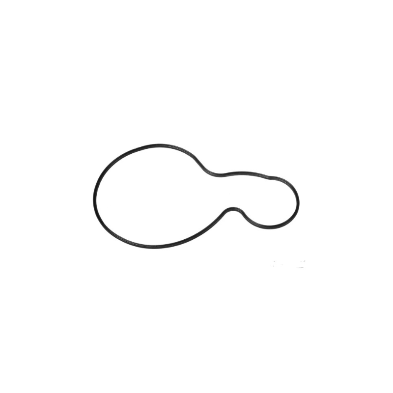 WATER-PUMP GASKET 06