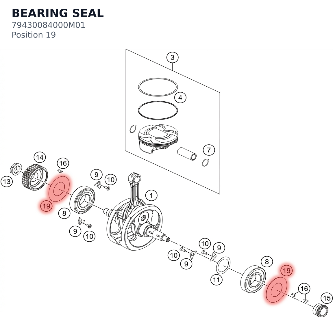 Diagram preview: BEARING SEAL (79430084000M01)