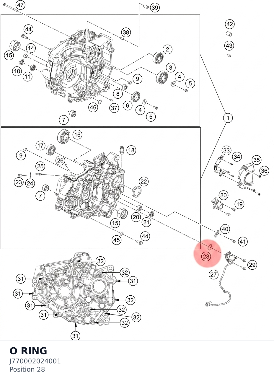 Diagram preview: O RING (J770002024001)