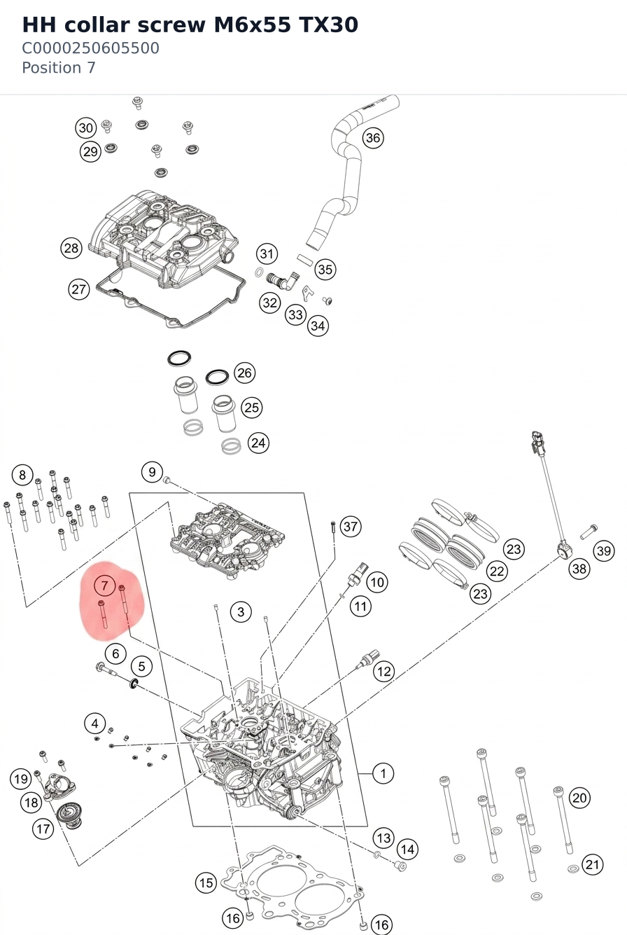 Diagram preview: HH collar screw M6x55 TX30 (C0000250605500)