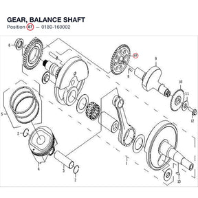 GEAR, BALANCE SHAFT product image