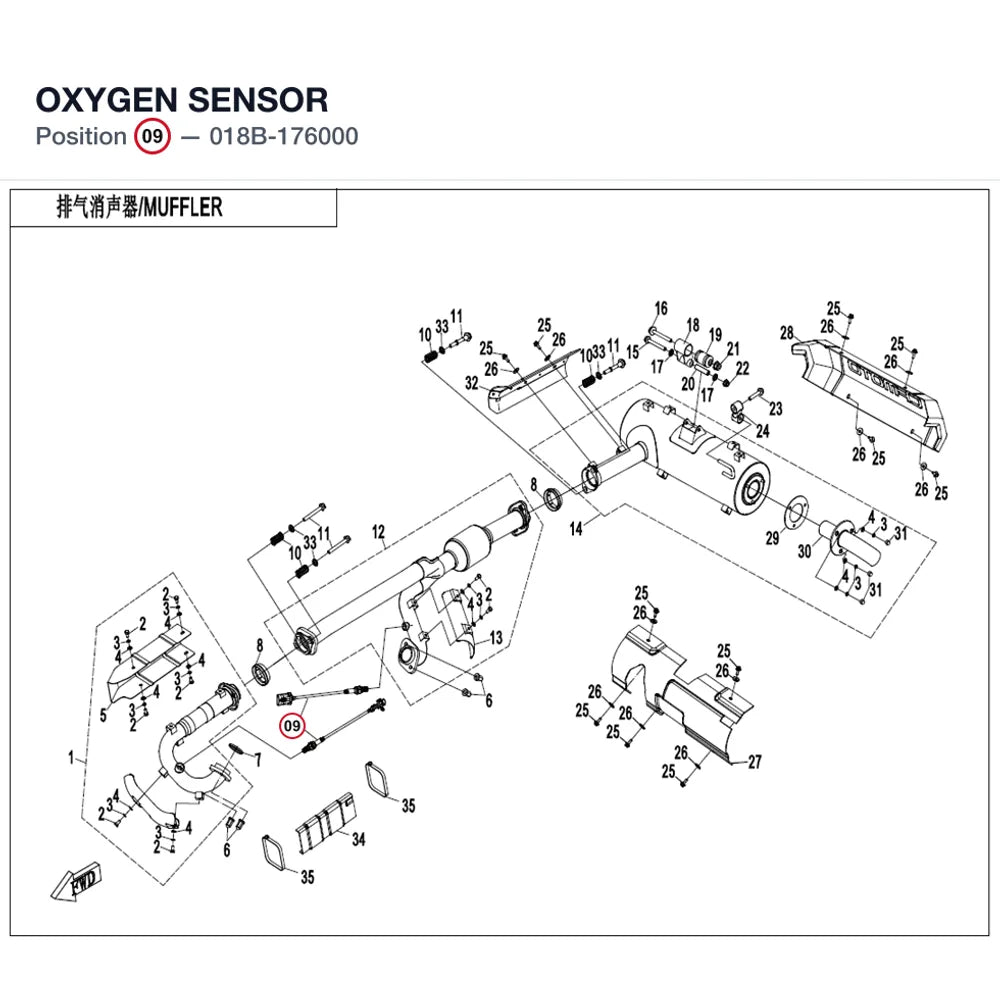 OXYGEN SENSOR product image