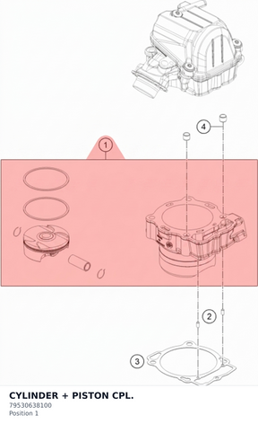 Diagram preview: CYLINDER + PISTON CPL. (79530638100)