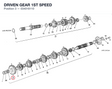 DRIVEN GEAR 1ST SPEED