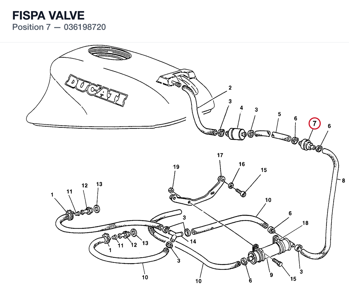 FISPA VALVE